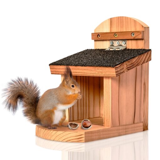 Blumfeldt Kŕmidlo pre veveričky, plochá strecha, cédrové drevo, bitúmen, neopracované